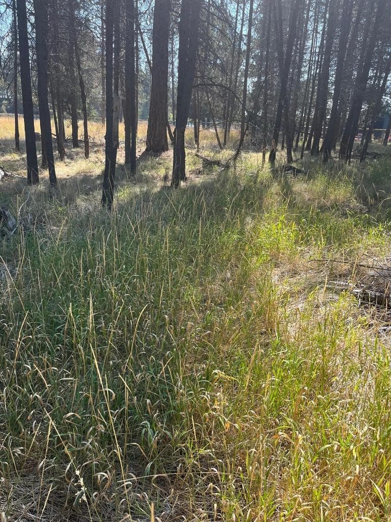 Photo of 17123 Spring River 2 of 6