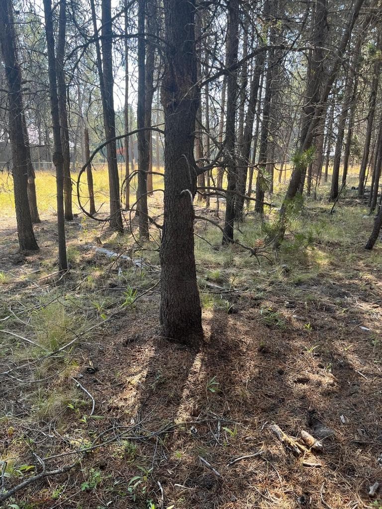 Photo of 17123 Spring River 5 of 6