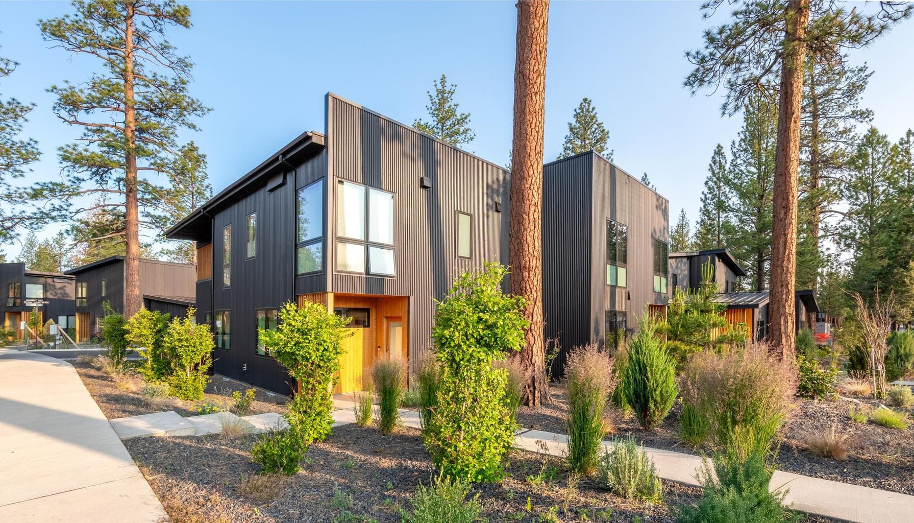 505 Pine, open house