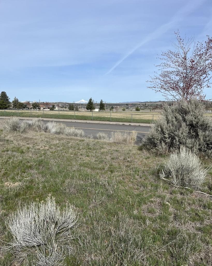 TL1400 Larkspur Way