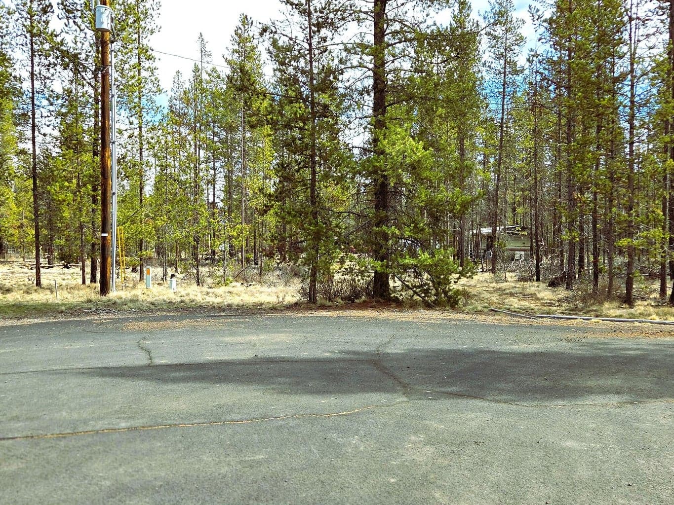 Photo of 16555 Fawn 3 of 13
