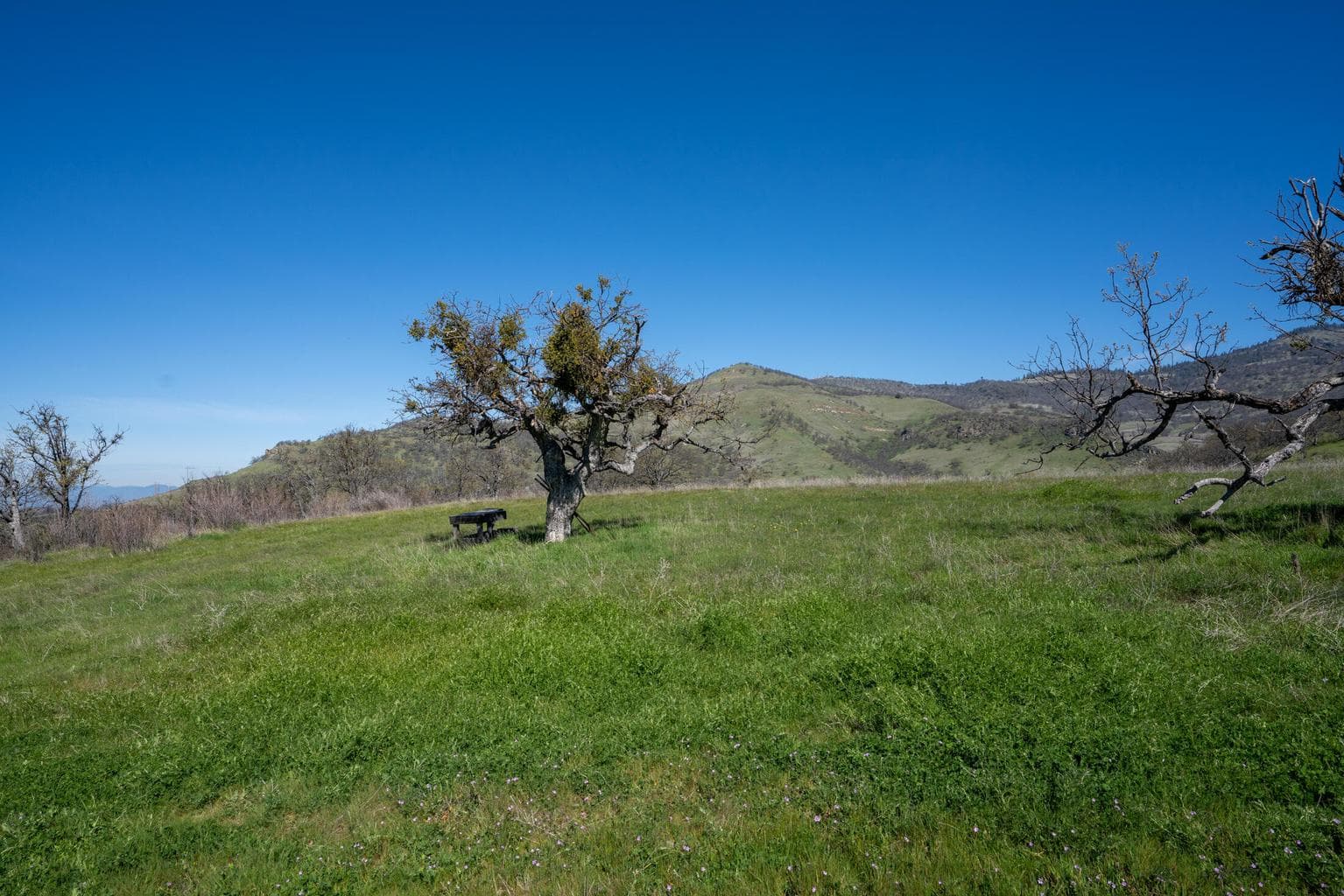 560 Canyon Hills