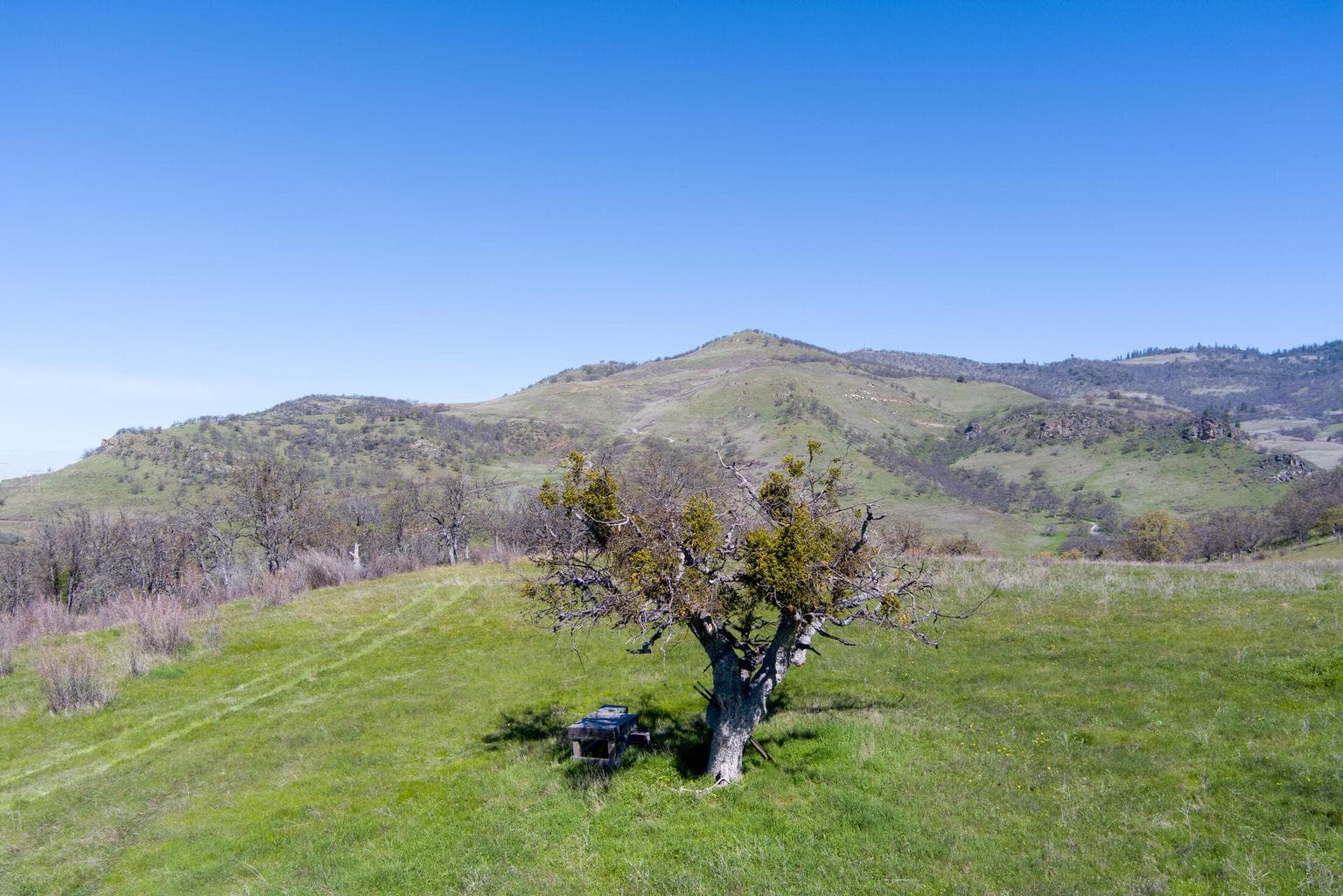 Photo of 560 Canyon Hills 3 of 4