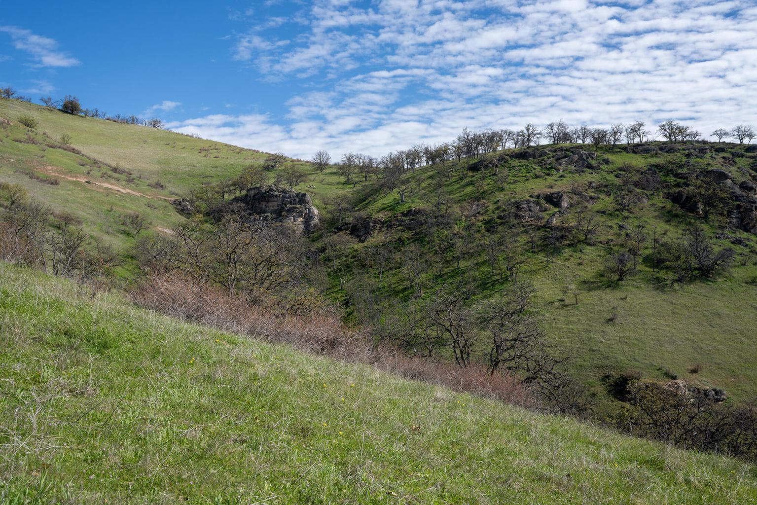 Photo of 570 Canyon Hills 3 of 5