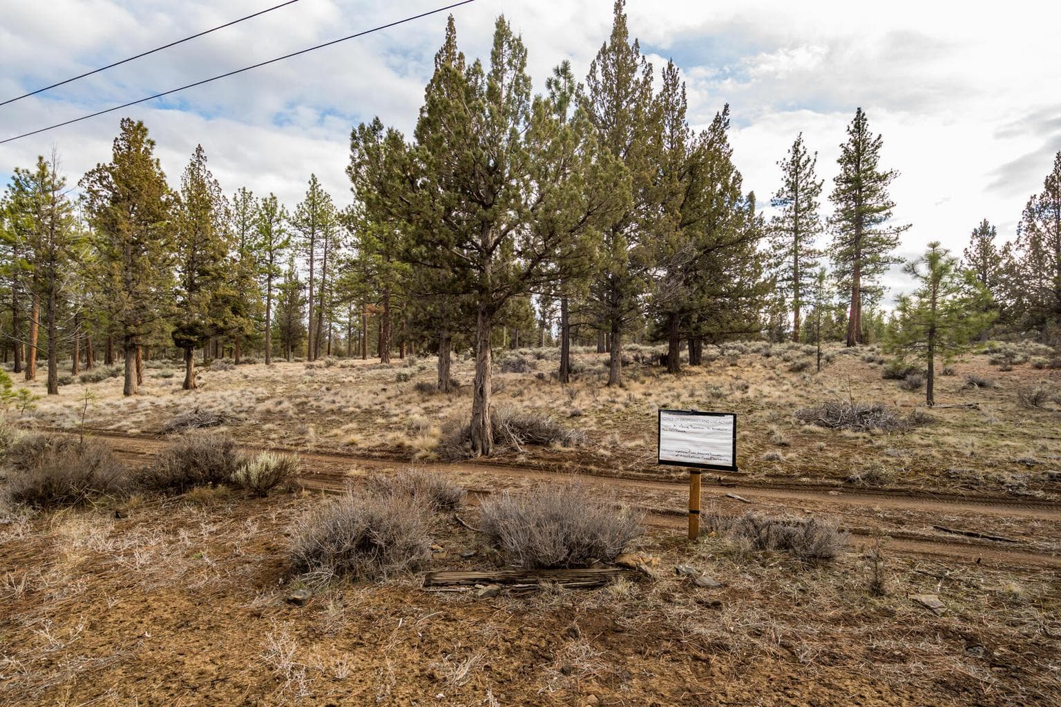Photo of 16305 Riata 5 of 23