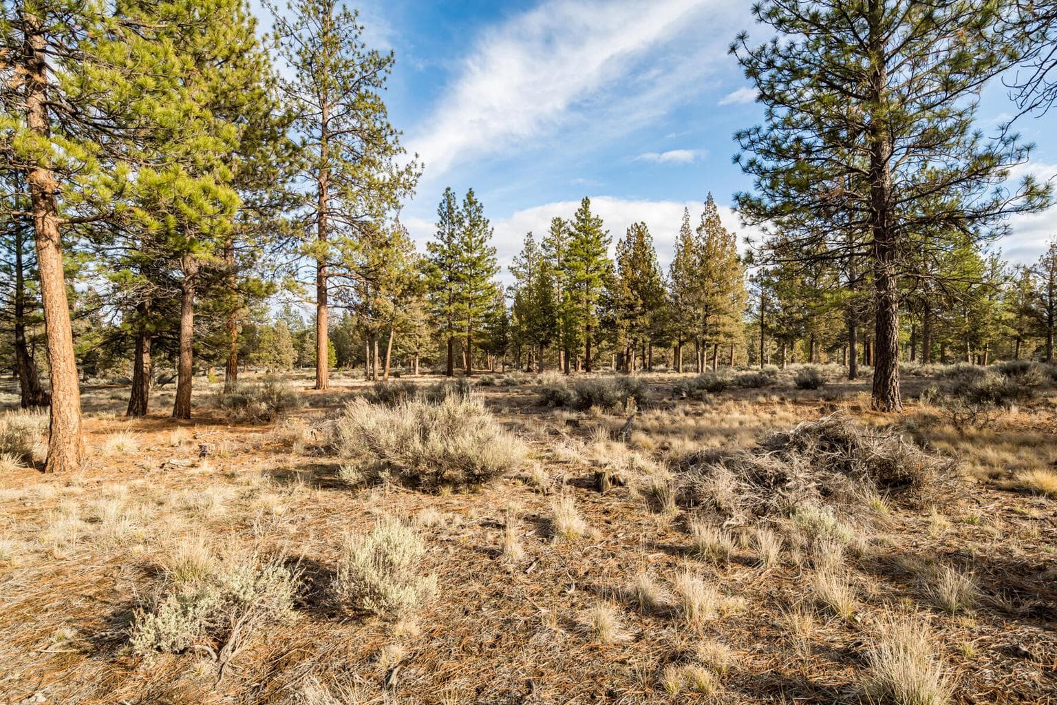 Photo of 16305 Riata 4 of 23