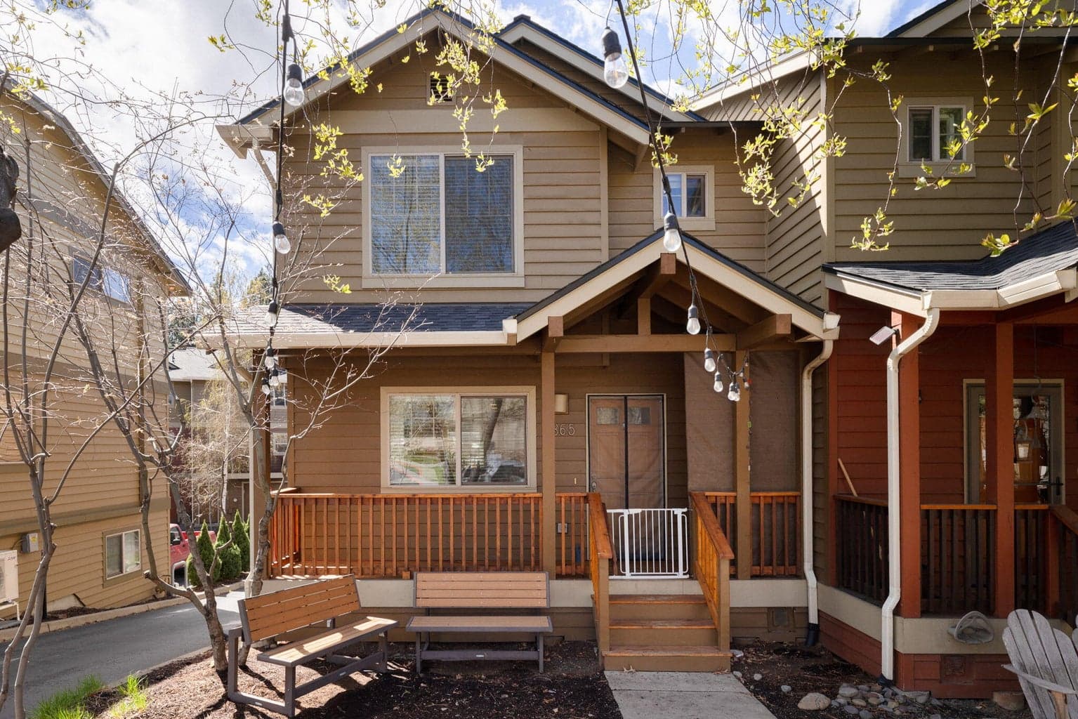 1865 Monterey Pines