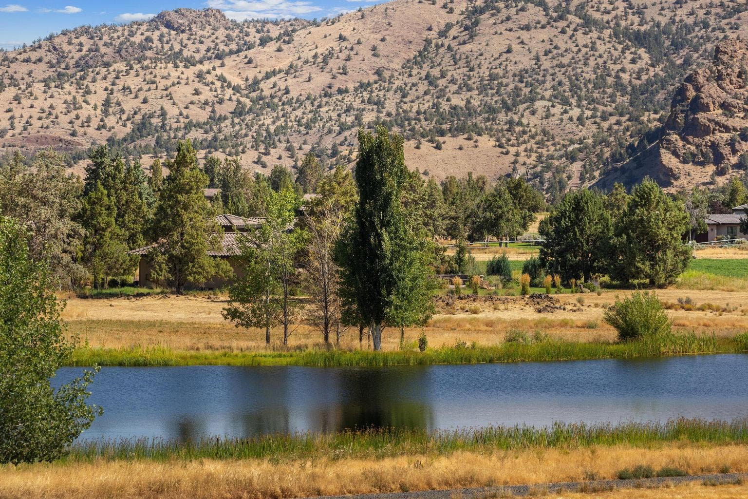 Photo of 711 Good Pasture 4 of 12
