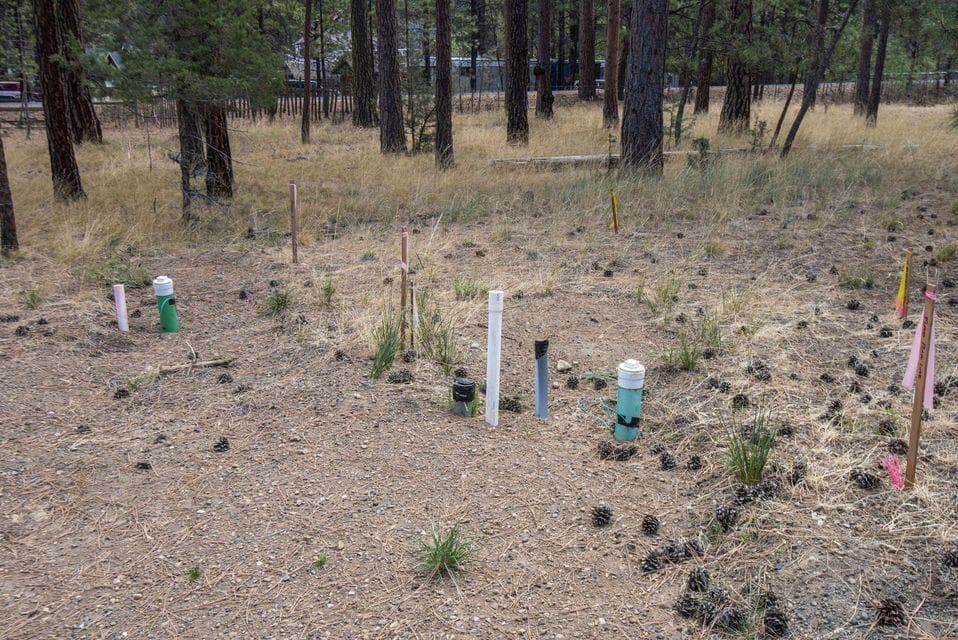 Photo of 157 Black Crater 5 of 10