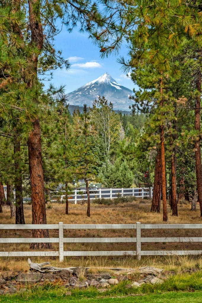 Photo of 69550 Deer Ridge 3 of 69