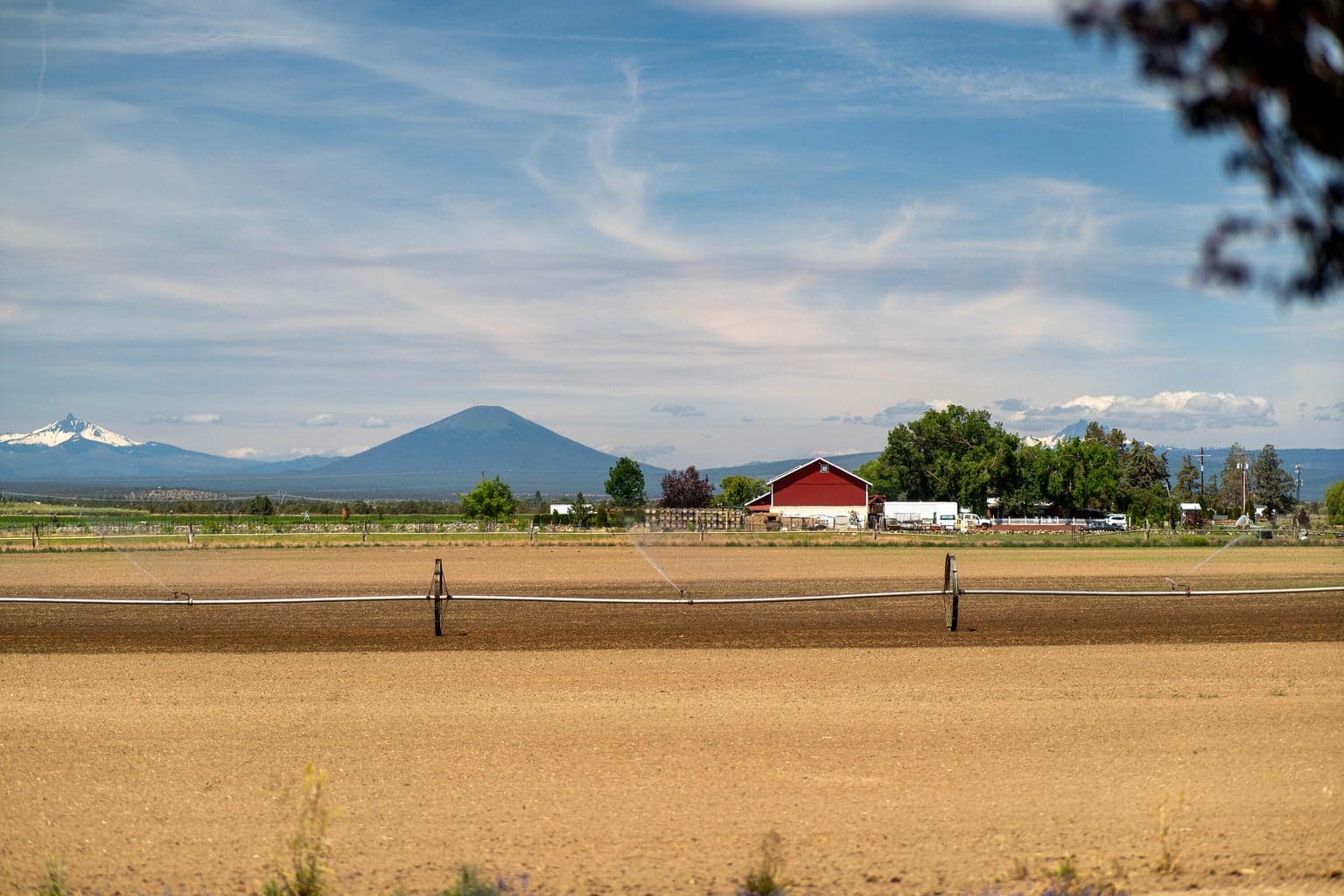 Tilled Field Maragas Winery