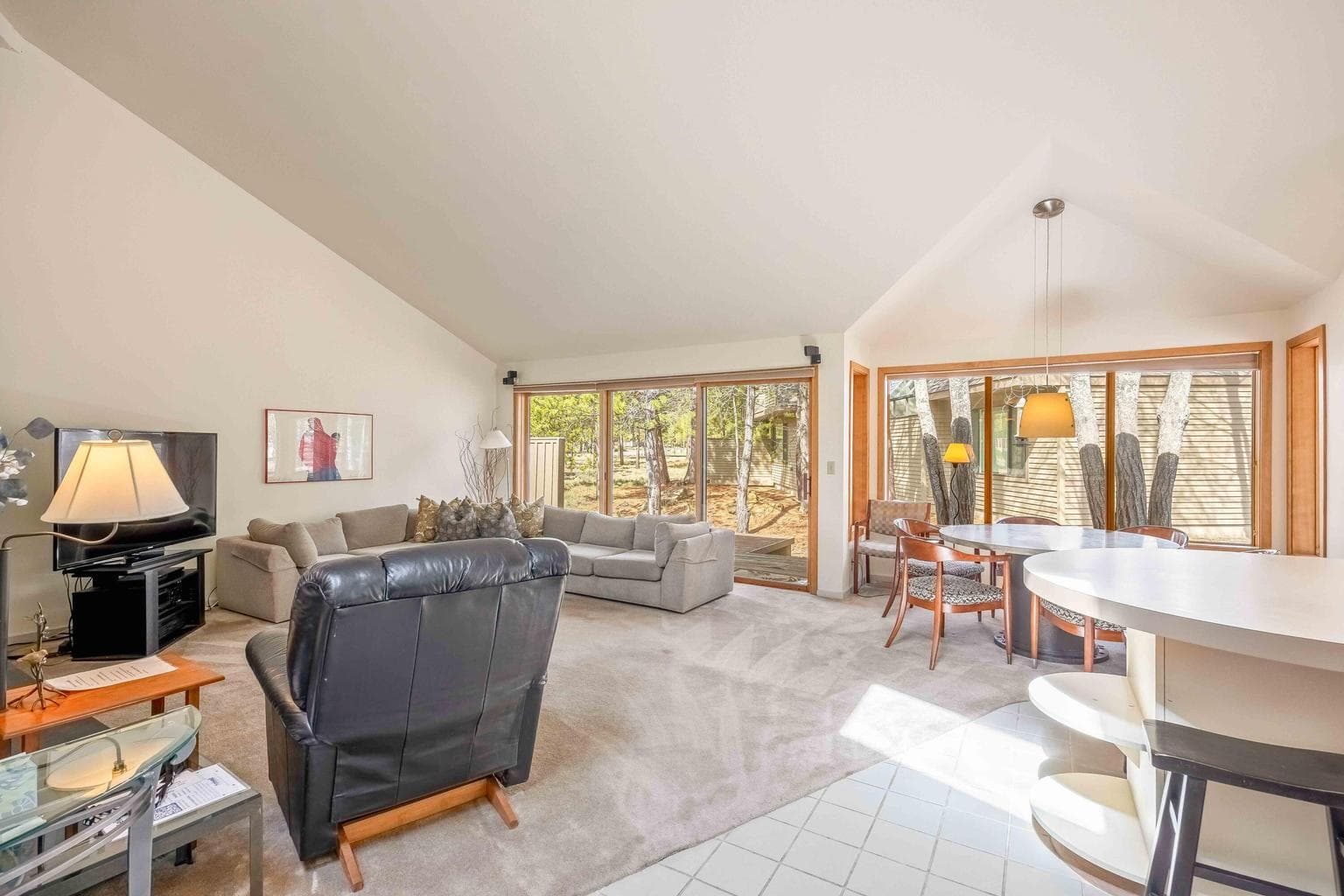 Vaulted Great Room