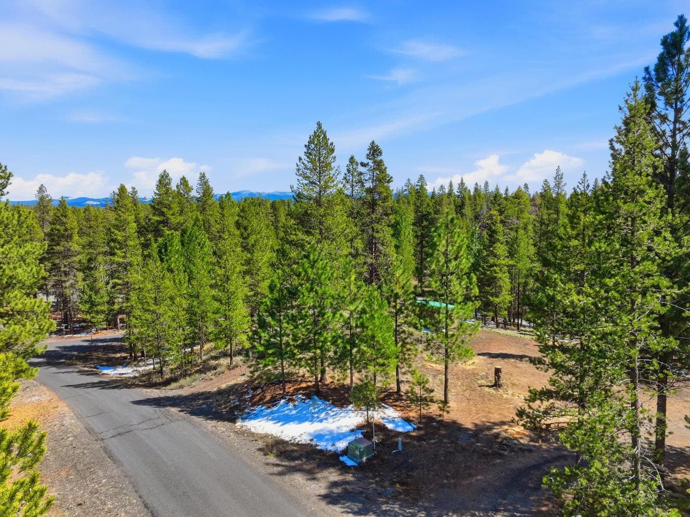 Set amongst the pines there is a cleared building site with easy access.