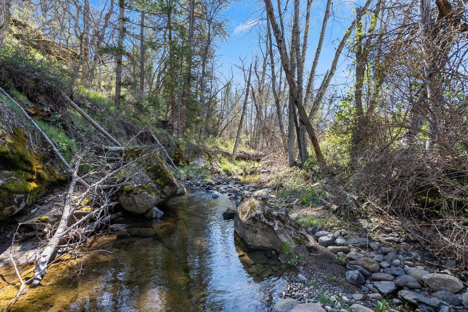 Photo of Buckhorn 5 of 17