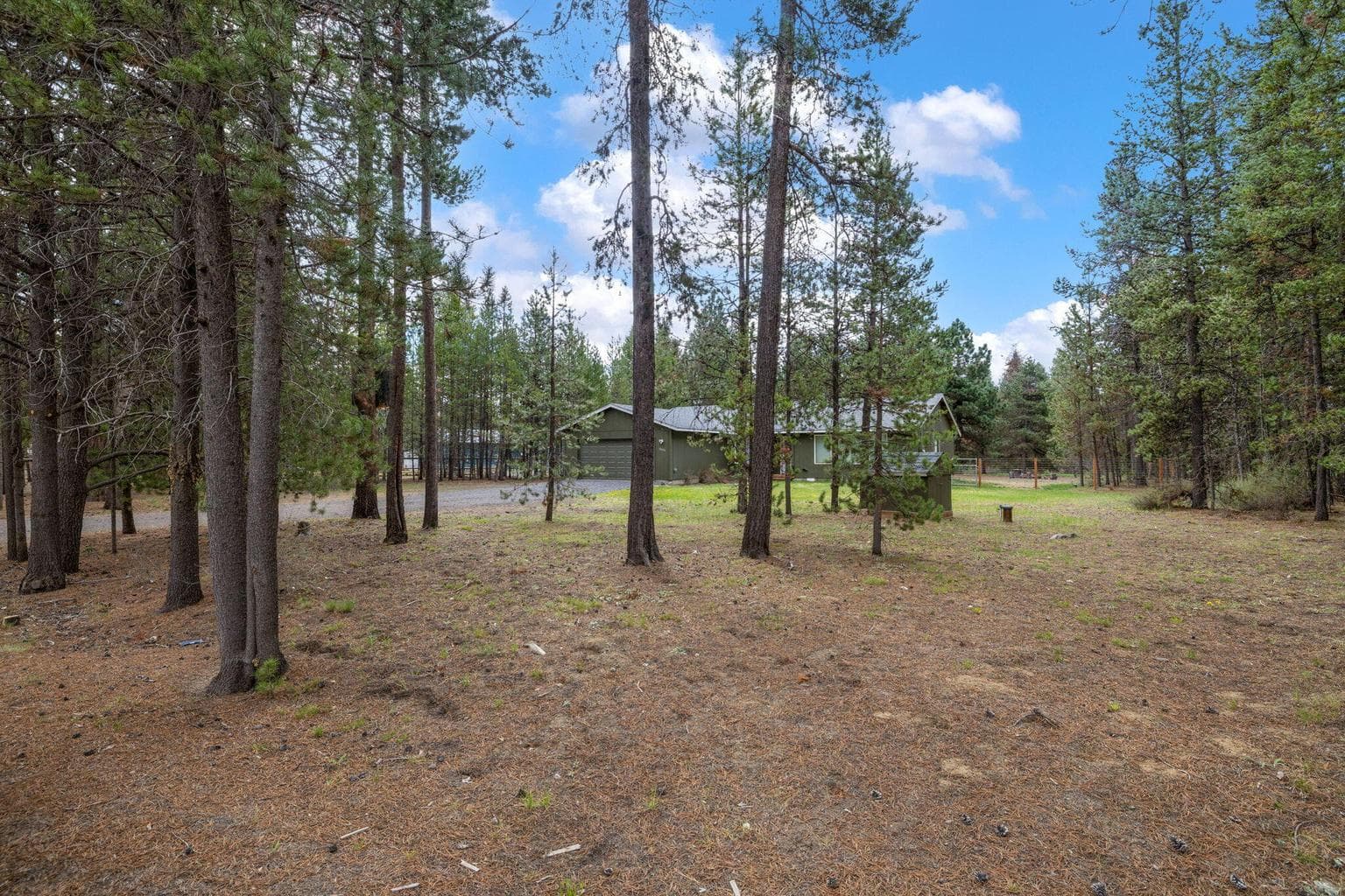 Photo of 16053 Snowberry 3 of 35
