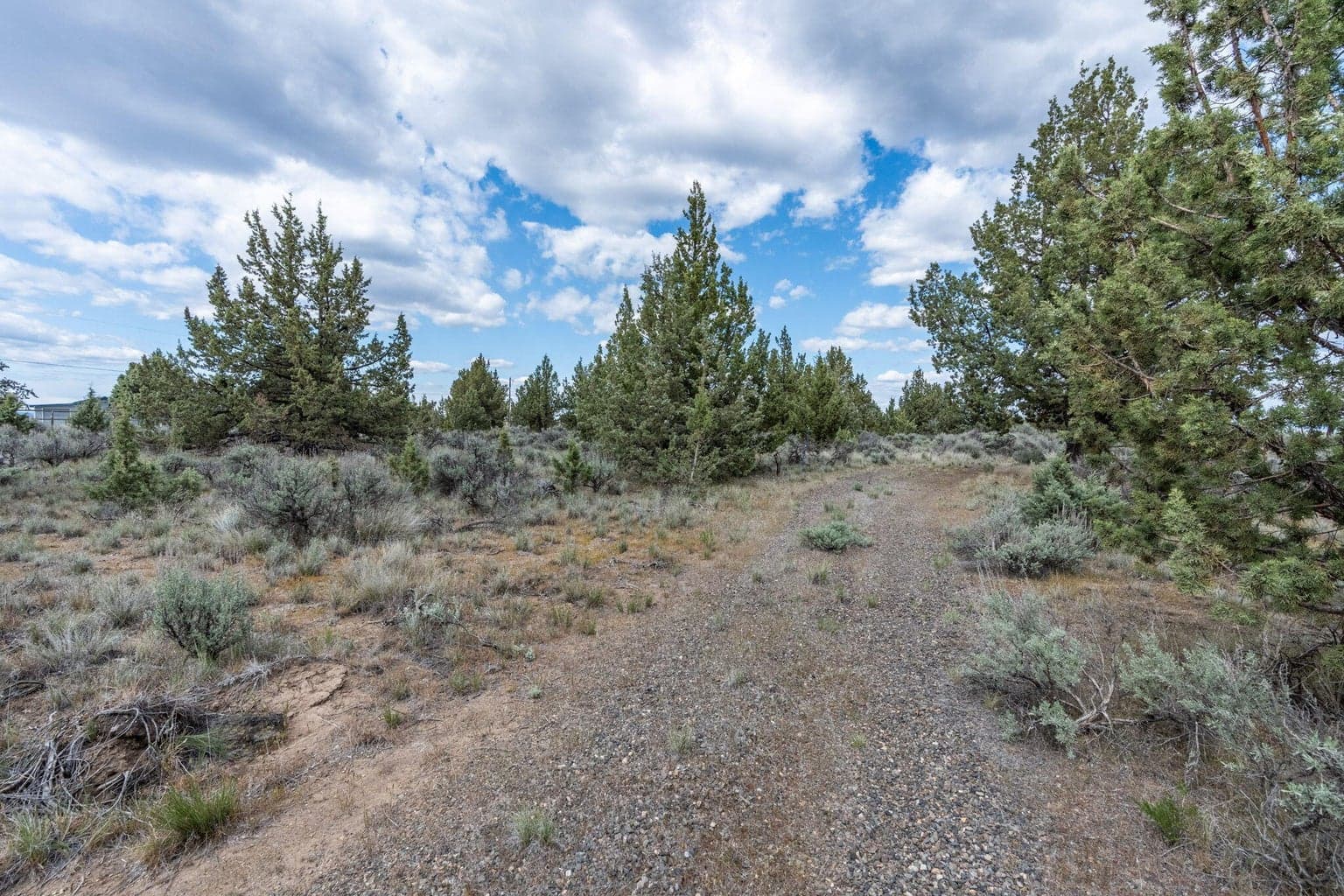 Photo of Grasslands 2 of 47