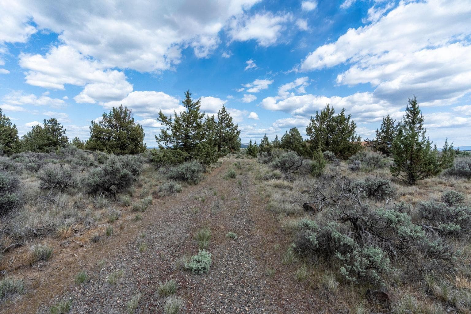 Photo of Grasslands 3 of 47