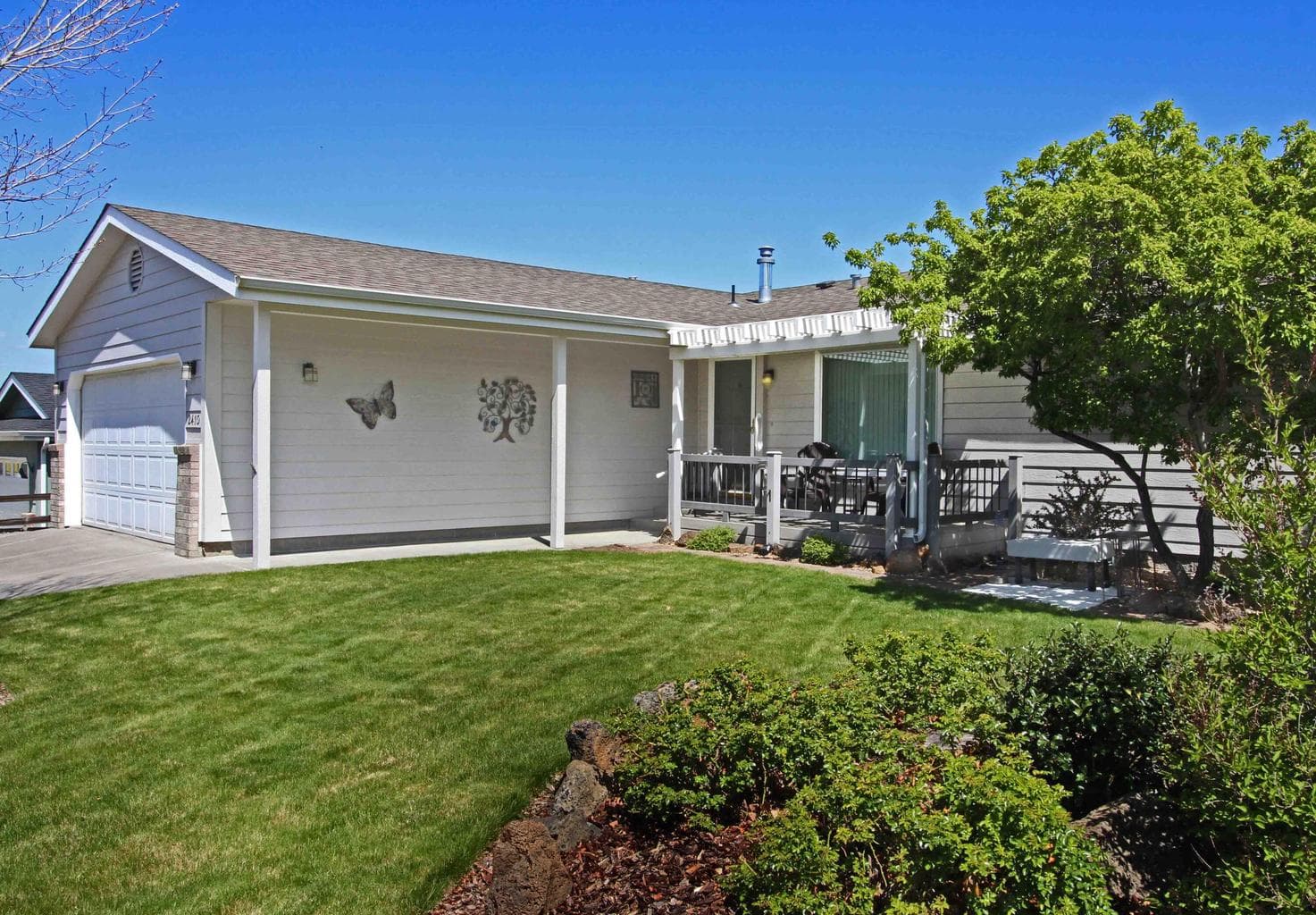 2410 Buckwheat