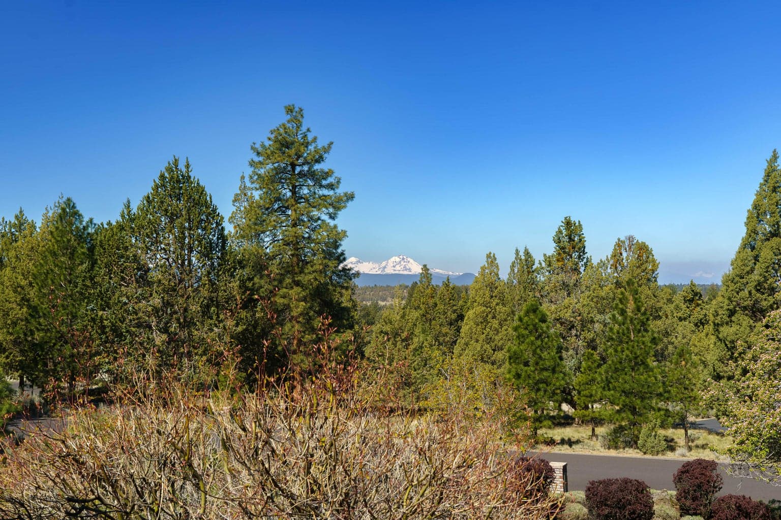 Photo of 4057 Northcliff 1 of 55