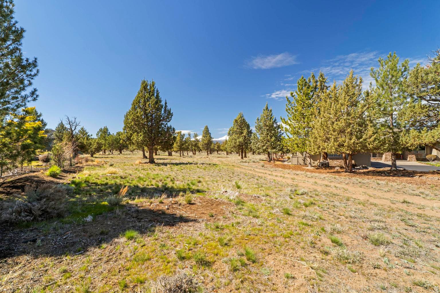 Photo of 1261 Trail Creek 5 of 45