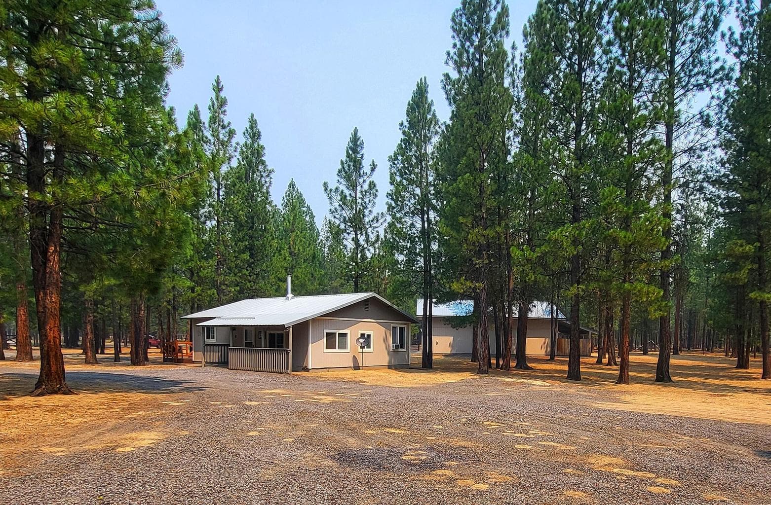 Photo of 51998 Noble Fir 5 of 41