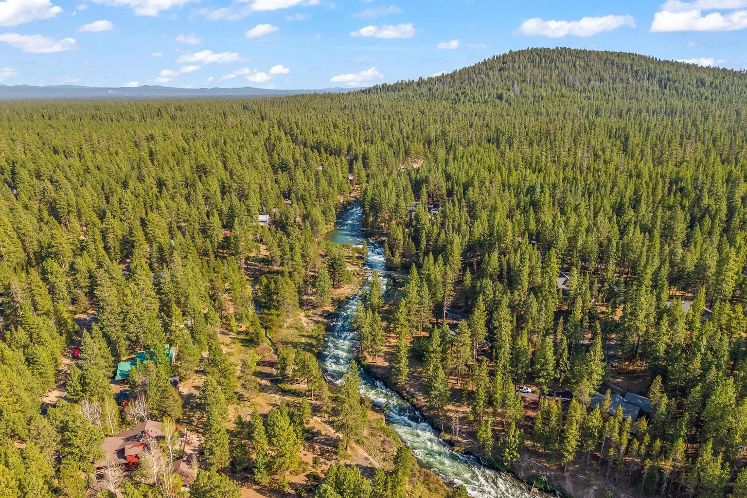 Photo of 53531 Kokanee 3 of 39