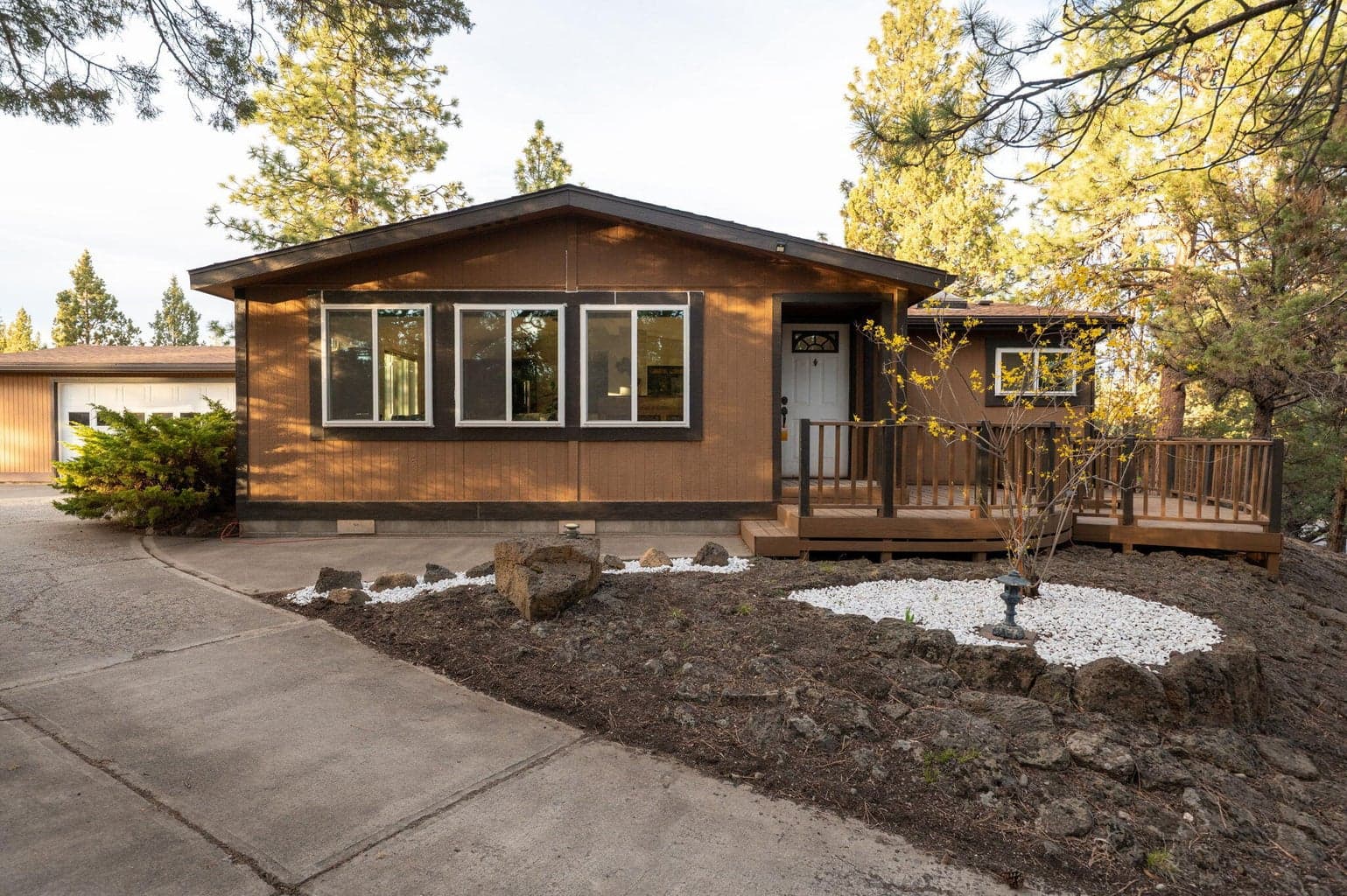1624 Bronzewood