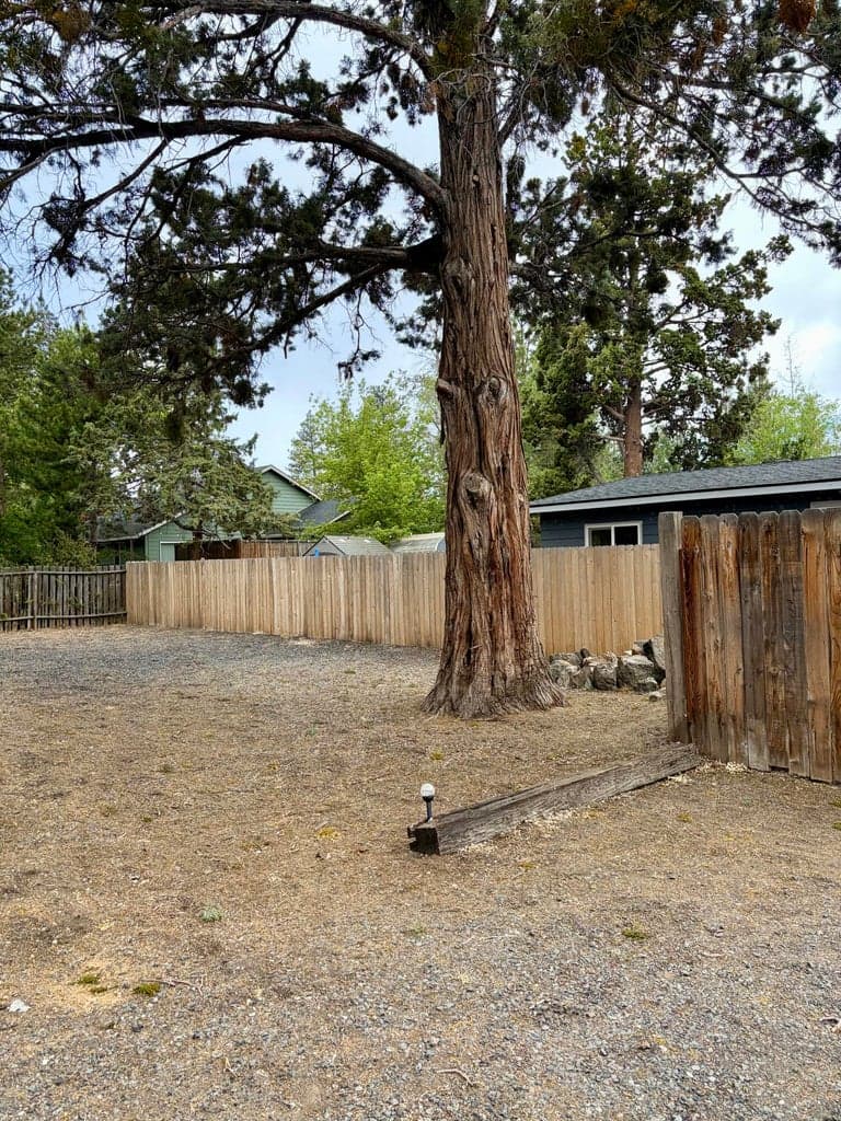 Photo of 485 Douglas 2 of 6