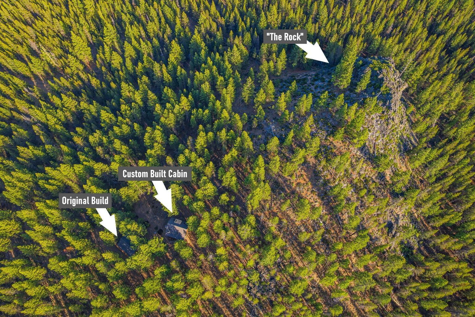 Photo of 54655 Jack Pine 3 of 76