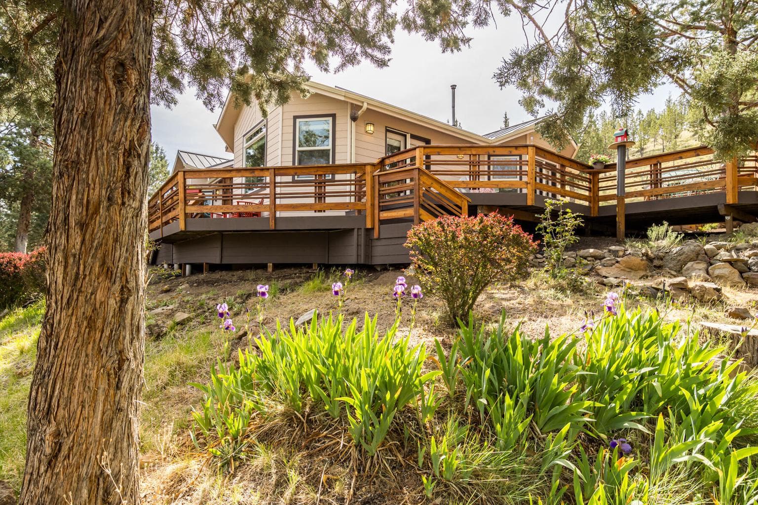 Photo of 66530 Ponderosa 3 of 55