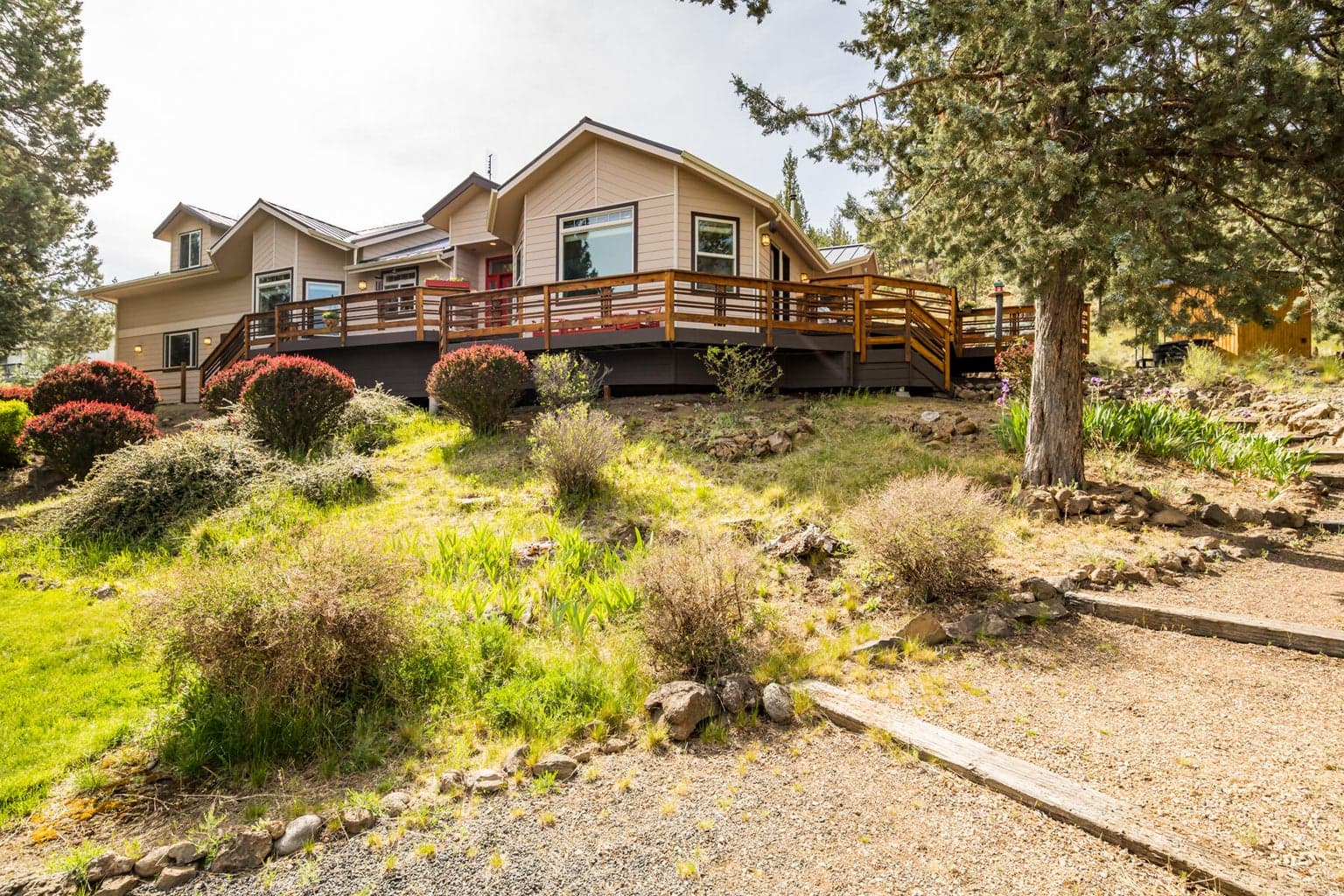 Photo of 66530 Ponderosa 2 of 55