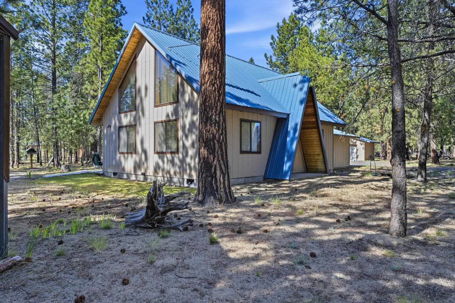 Photo of 52035 Noble Fir 3 of 44