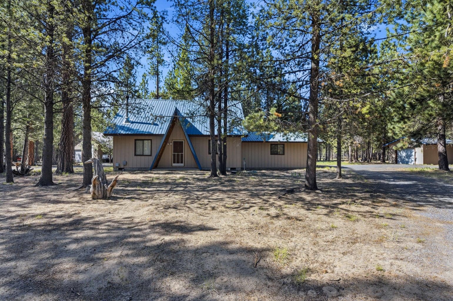 Photo of 52035 Noble Fir 2 of 44