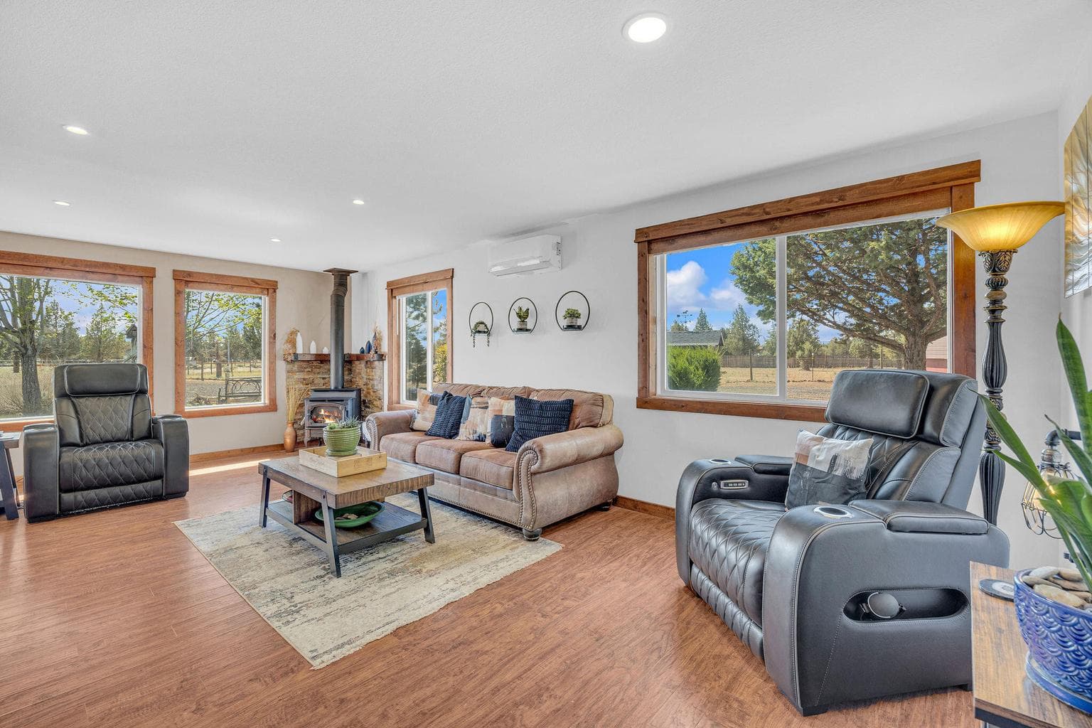 Light drenched living room