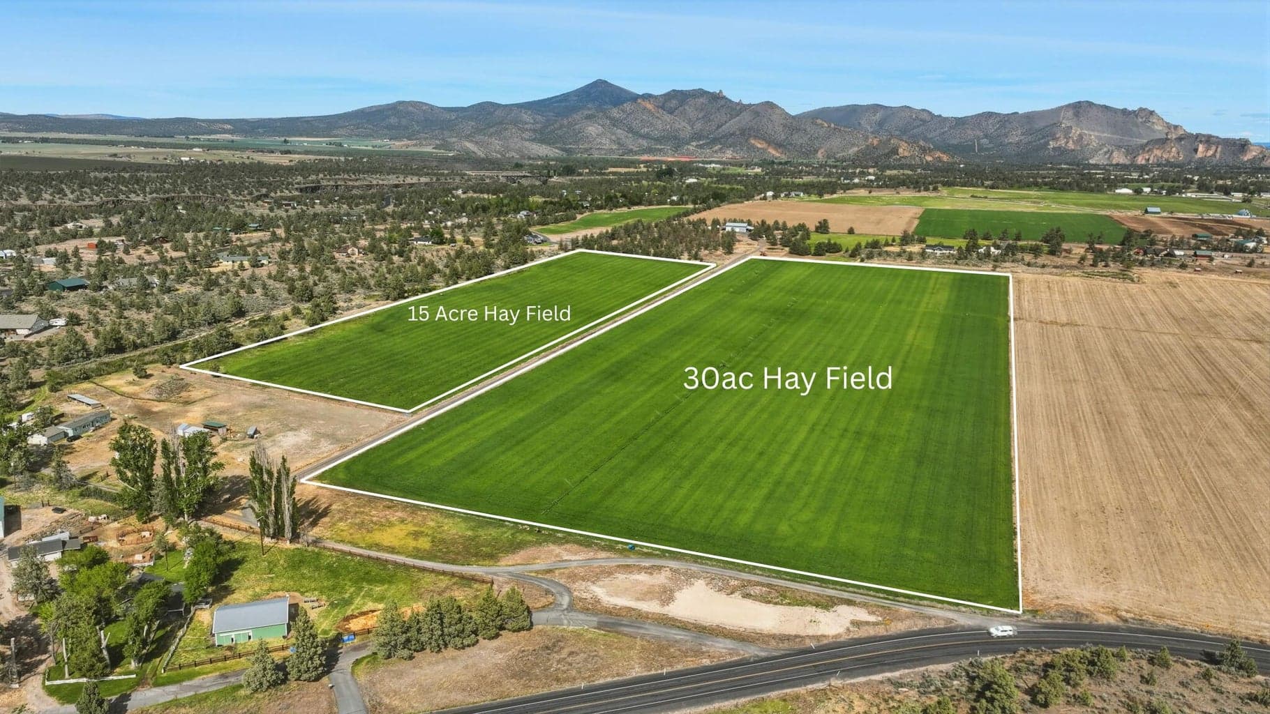 Hay Fields