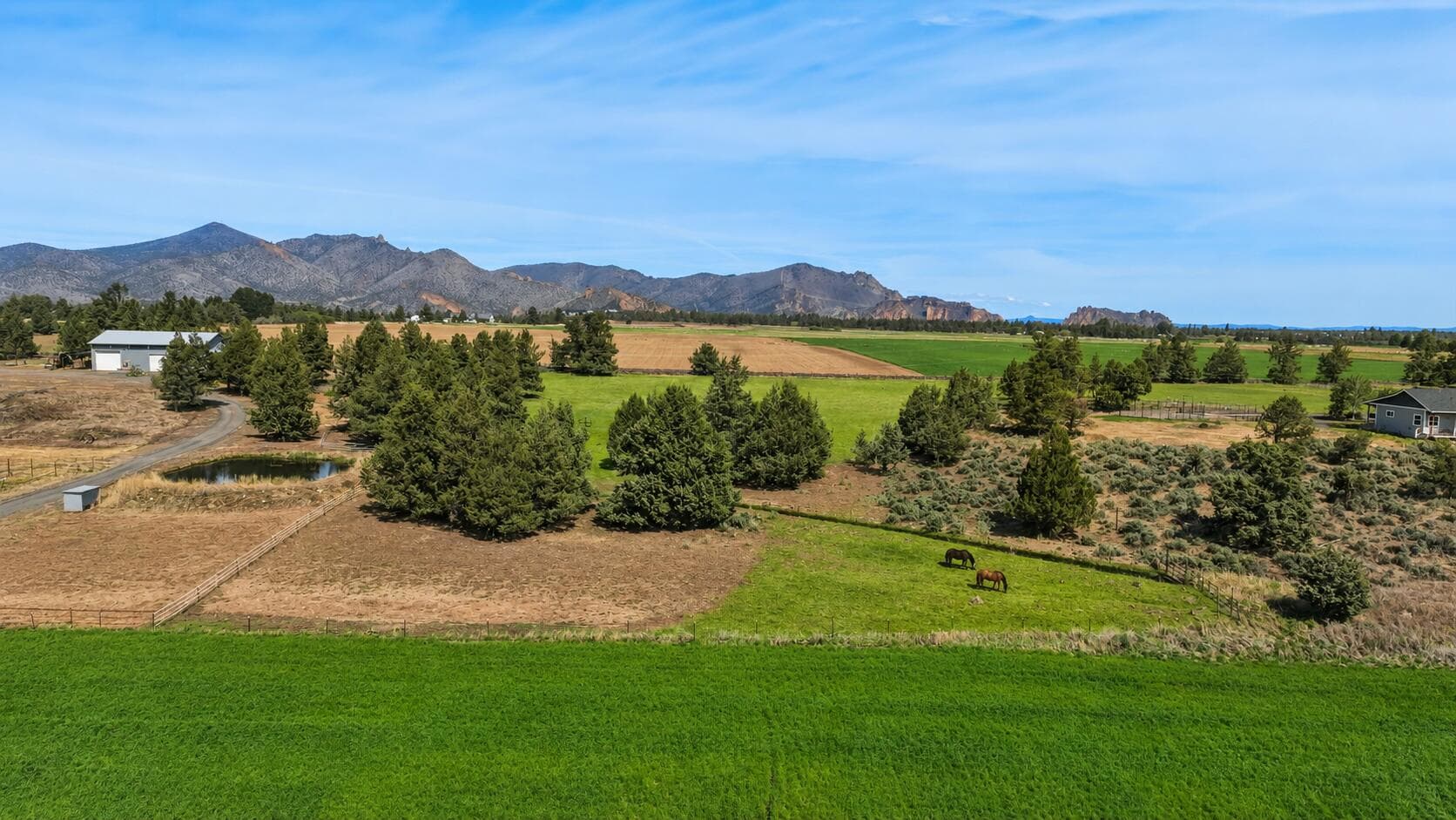 Field