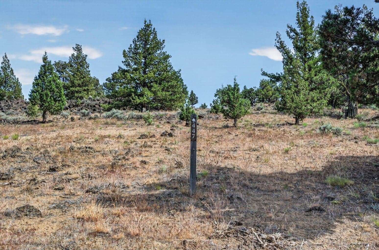 Photo of 16129 Corral 3 of 30