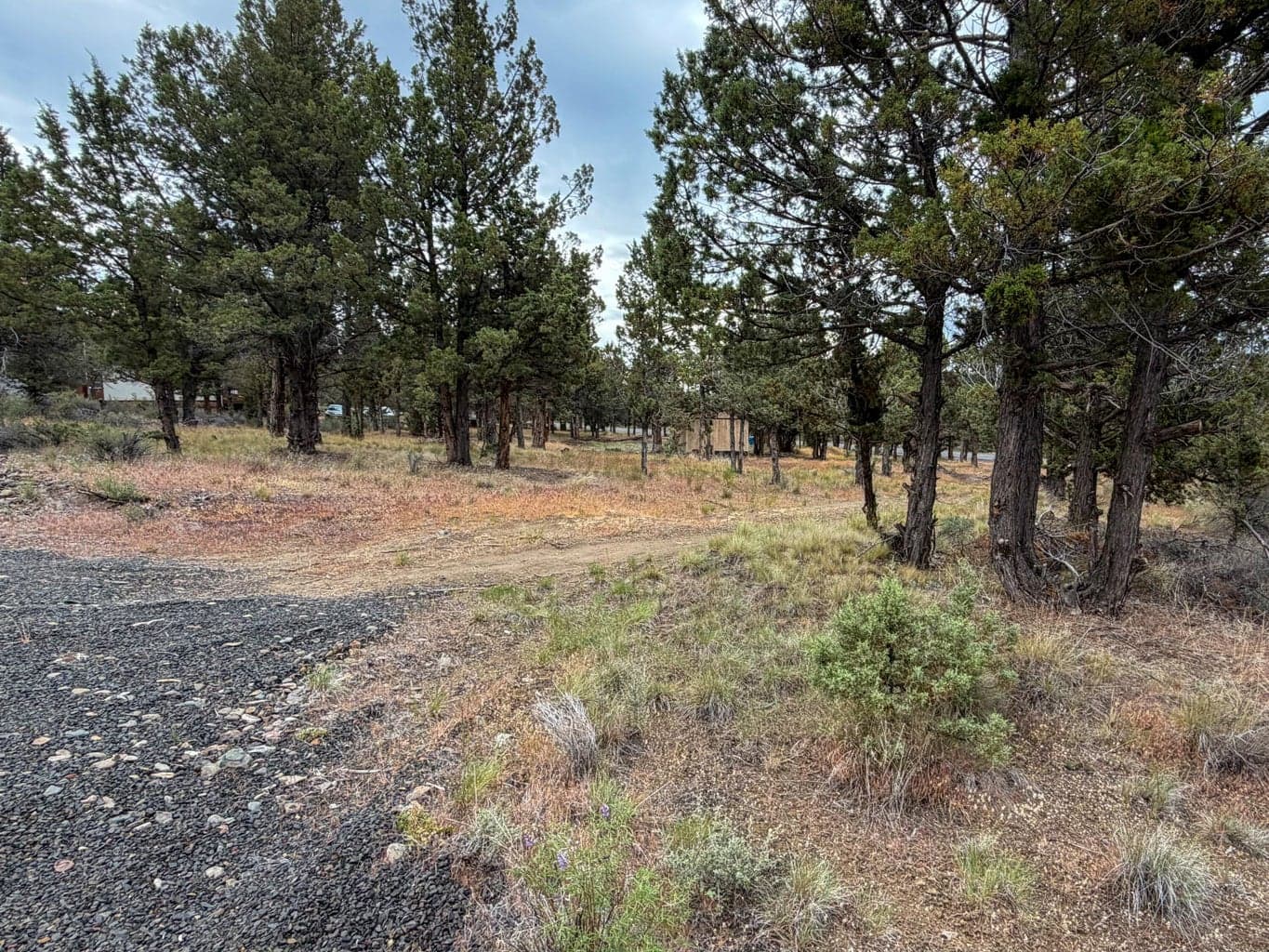 Photo of 14375 Juniper Canyon 5 of 10