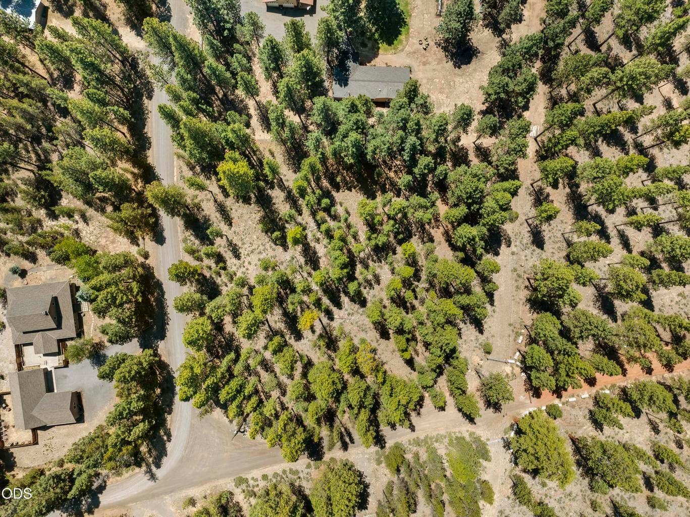 51600 Pine Loop
