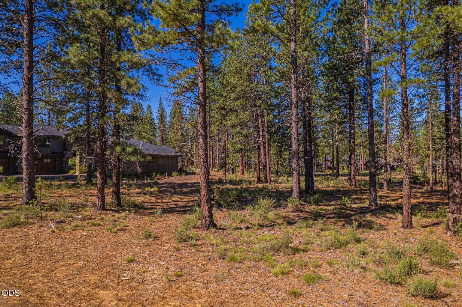Photo of 56342 Mirror Rock 3 of 37