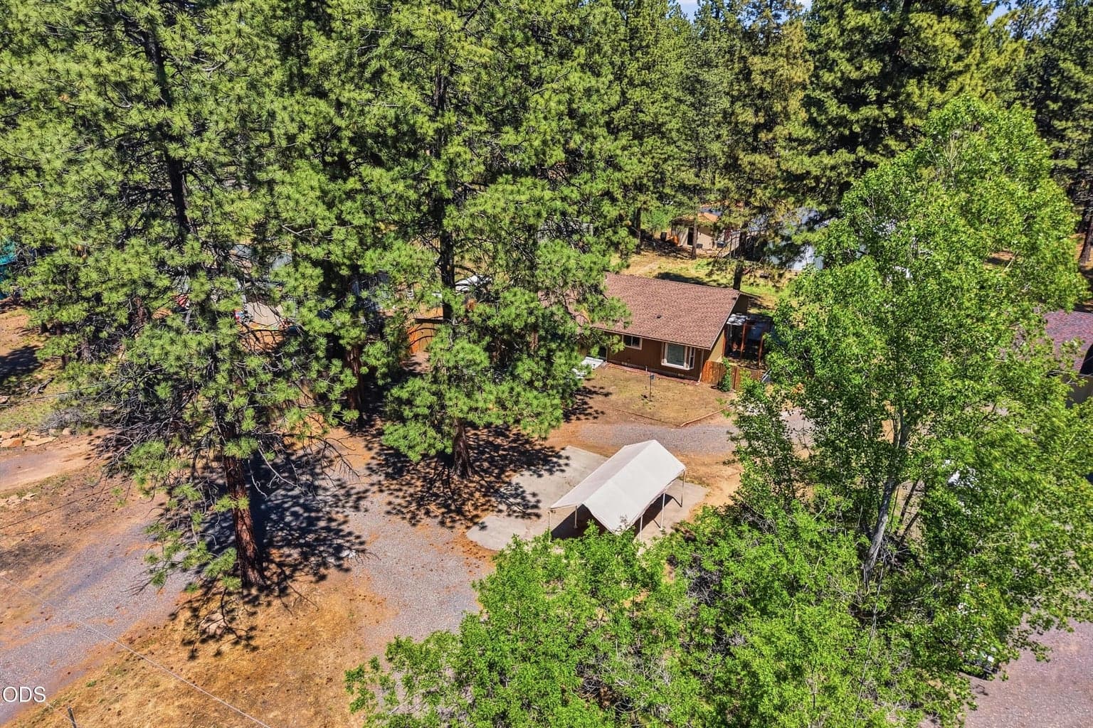 Photo of 60282 Pawnee 5 of 42