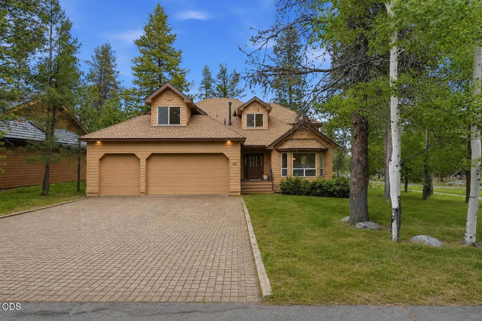 Photo of 18004 Tan Oak 2 of 36
