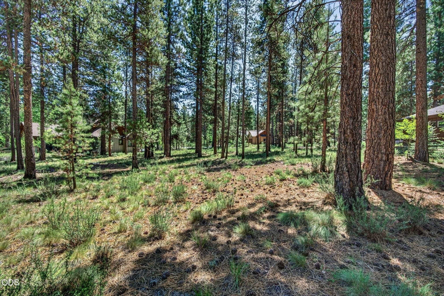 Photo of 56288 Trailmere 3 of 31