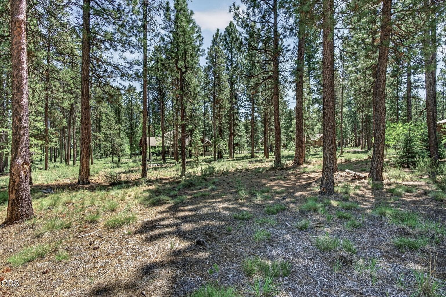 Photo of 56288 Trailmere 4 of 31