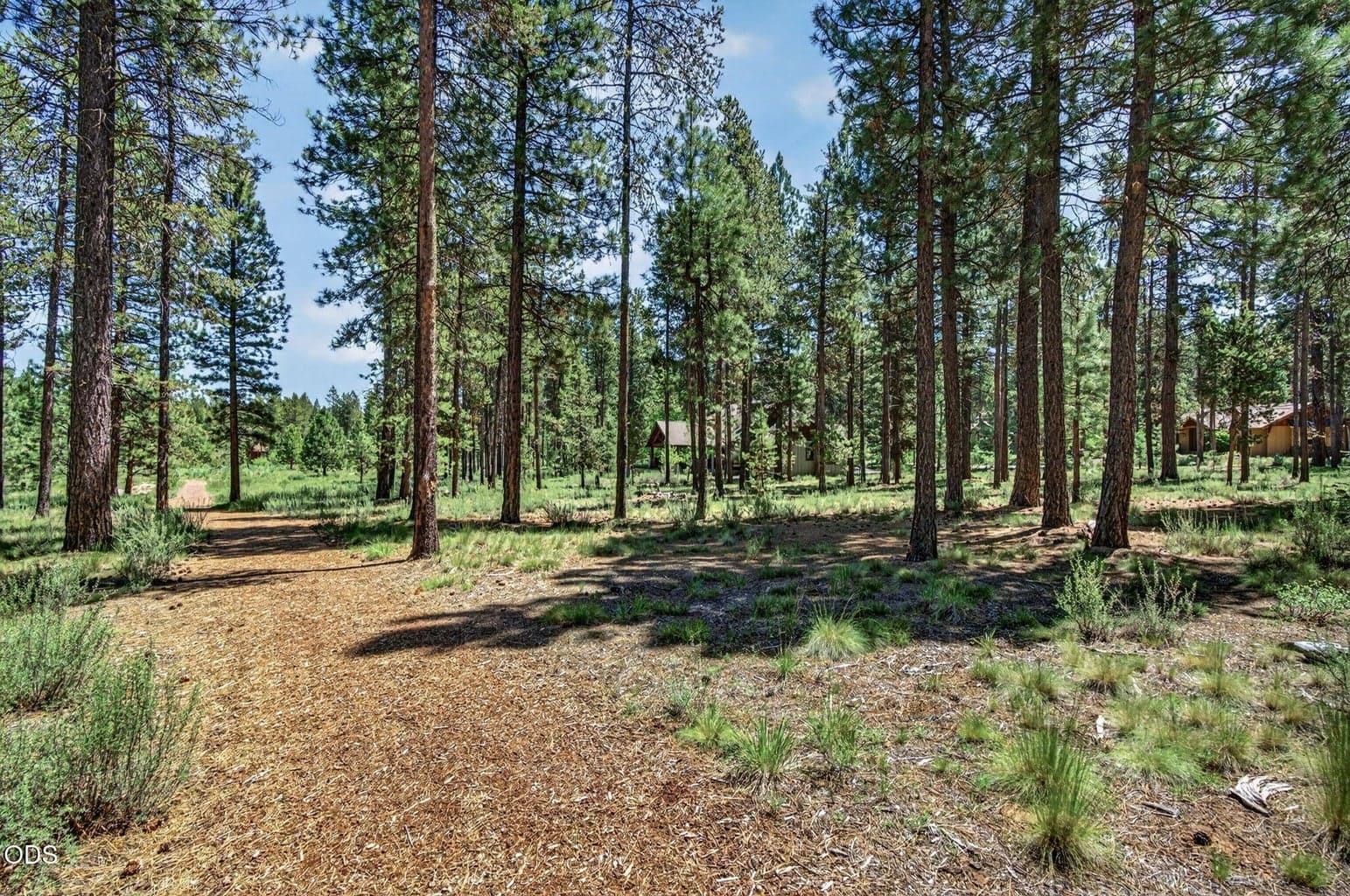Photo of 56288 Trailmere 5 of 31