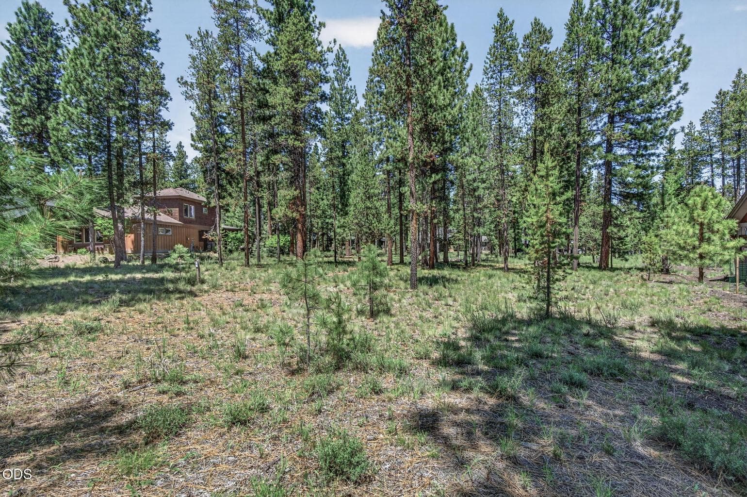 Photo of 56288 Trailmere 2 of 31