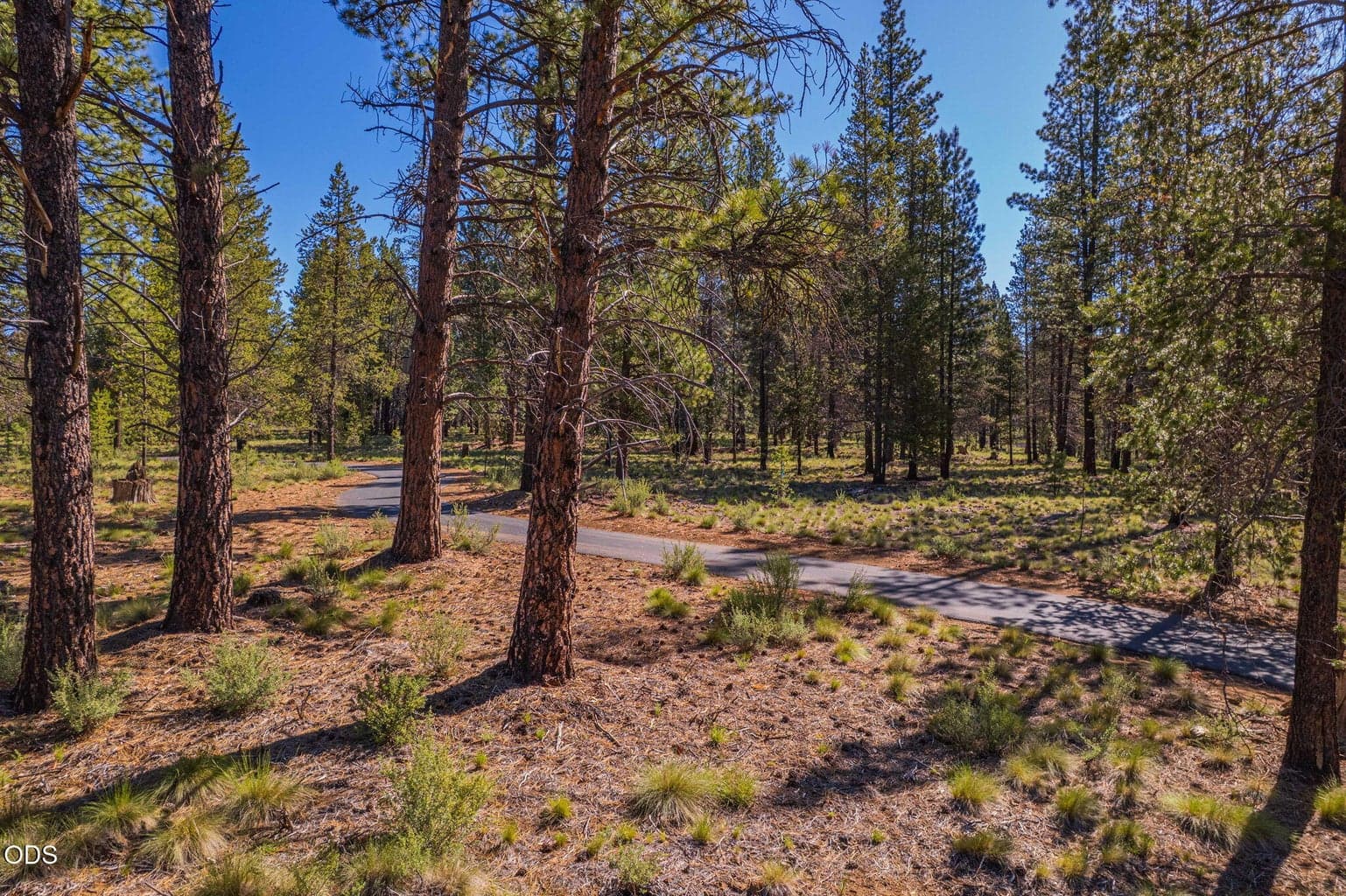 Paved paths to the back of the lot