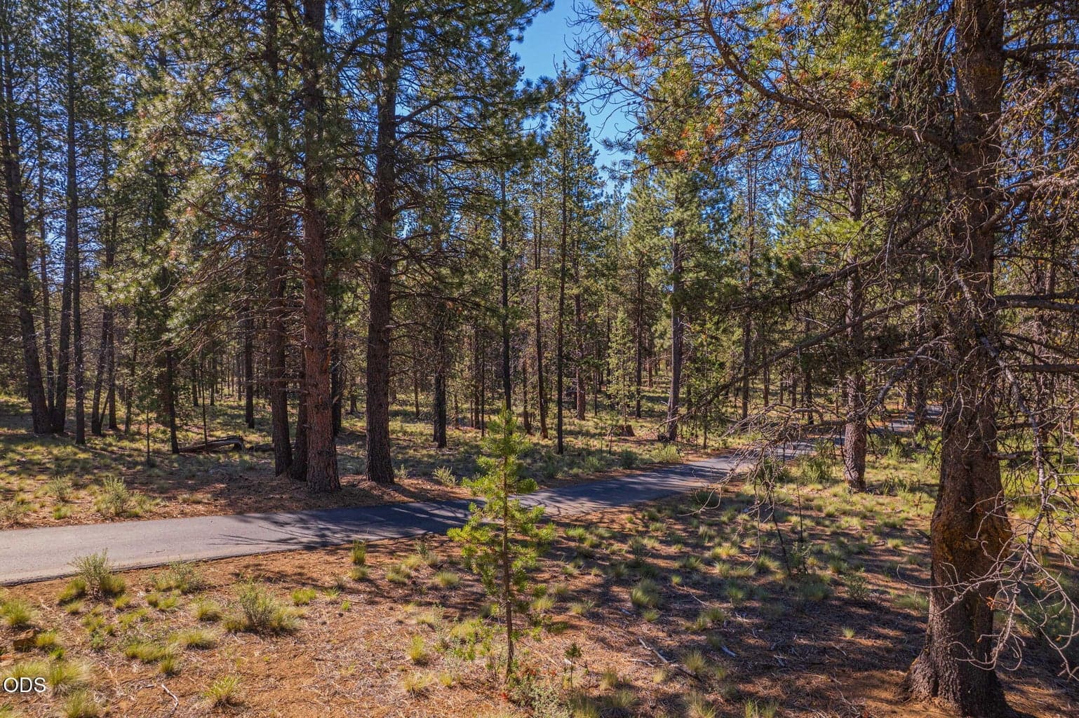 Photo of 56319 Mirror Rock 4 of 18