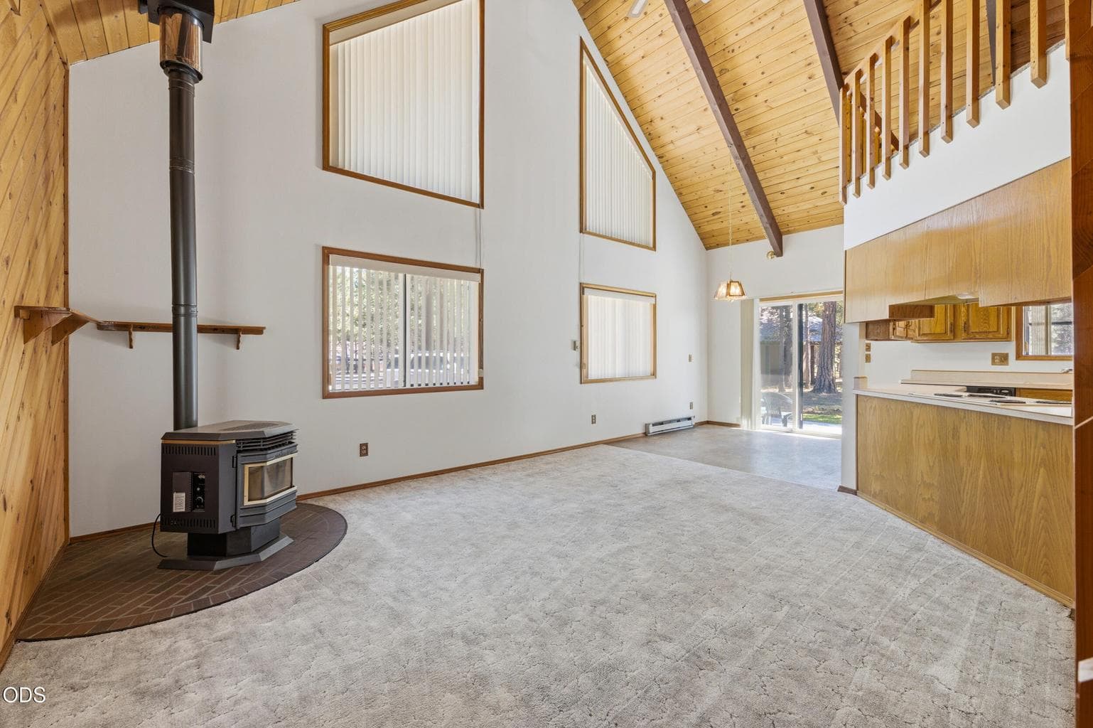 Photo of 52035 Noble Fir 5 of 44