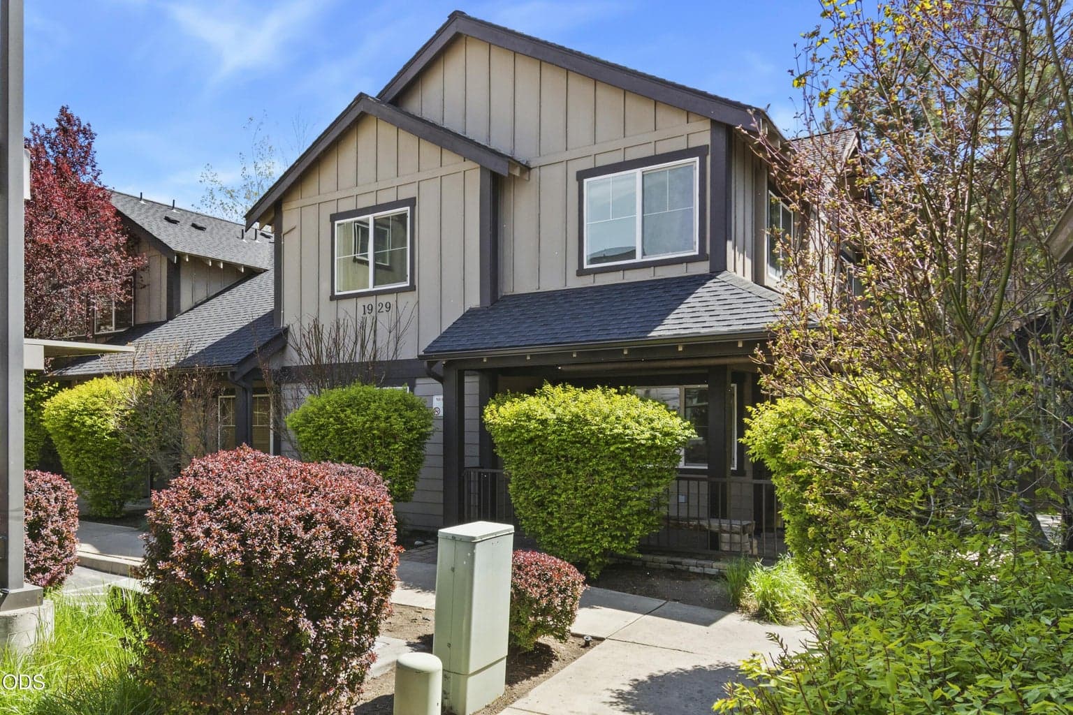 1929 Monterey Pines